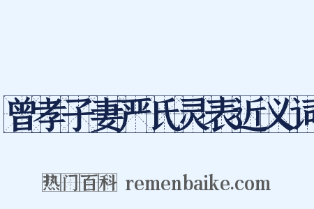曾孝子妻严氏灵表近义词是什么意思的图片